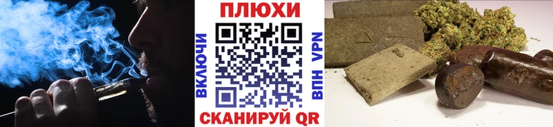 Купить закладки  Петровск-Забайкальский  ГАШ Cannabis 