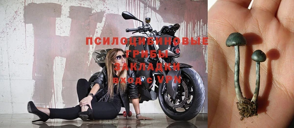 mix Надым
