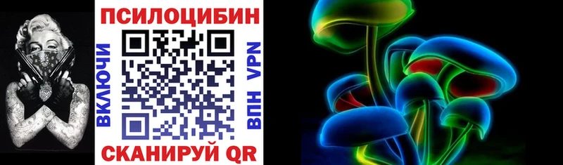 Купить закладки  Петровск-Забайкальский  Псилоцибиновые грибы мицелий 